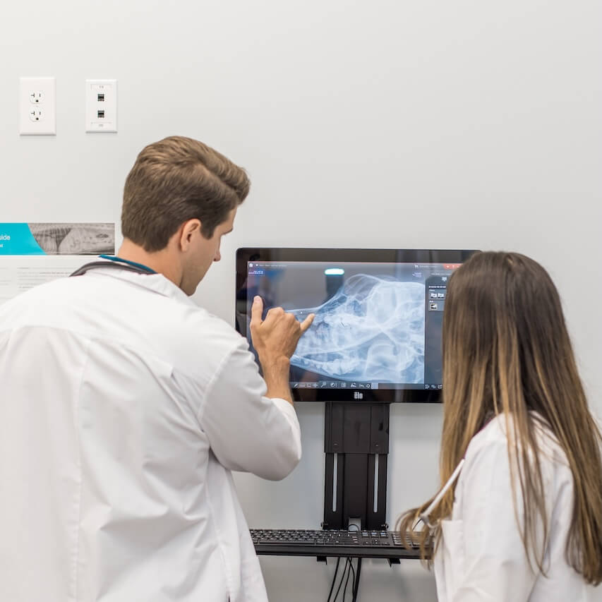 pet clinic in inlet beach florida