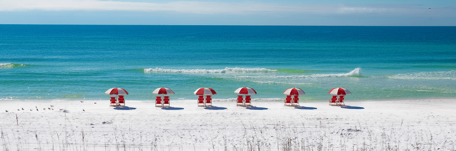 Pet activities in inlet beach florida
