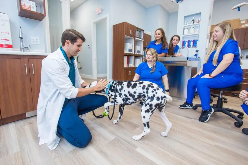 dental cleaning