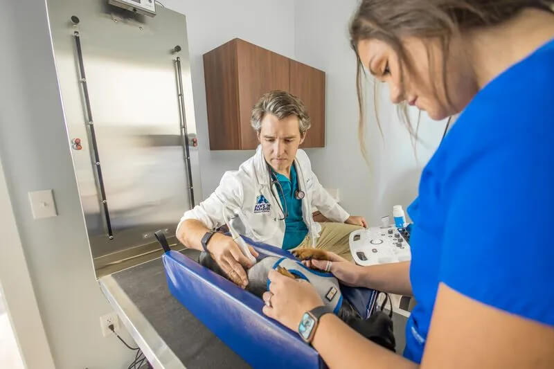 diagnostic imaging