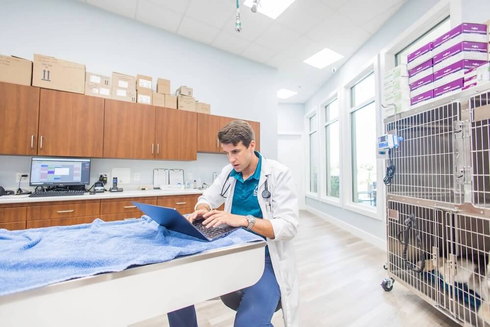 pet urgent care