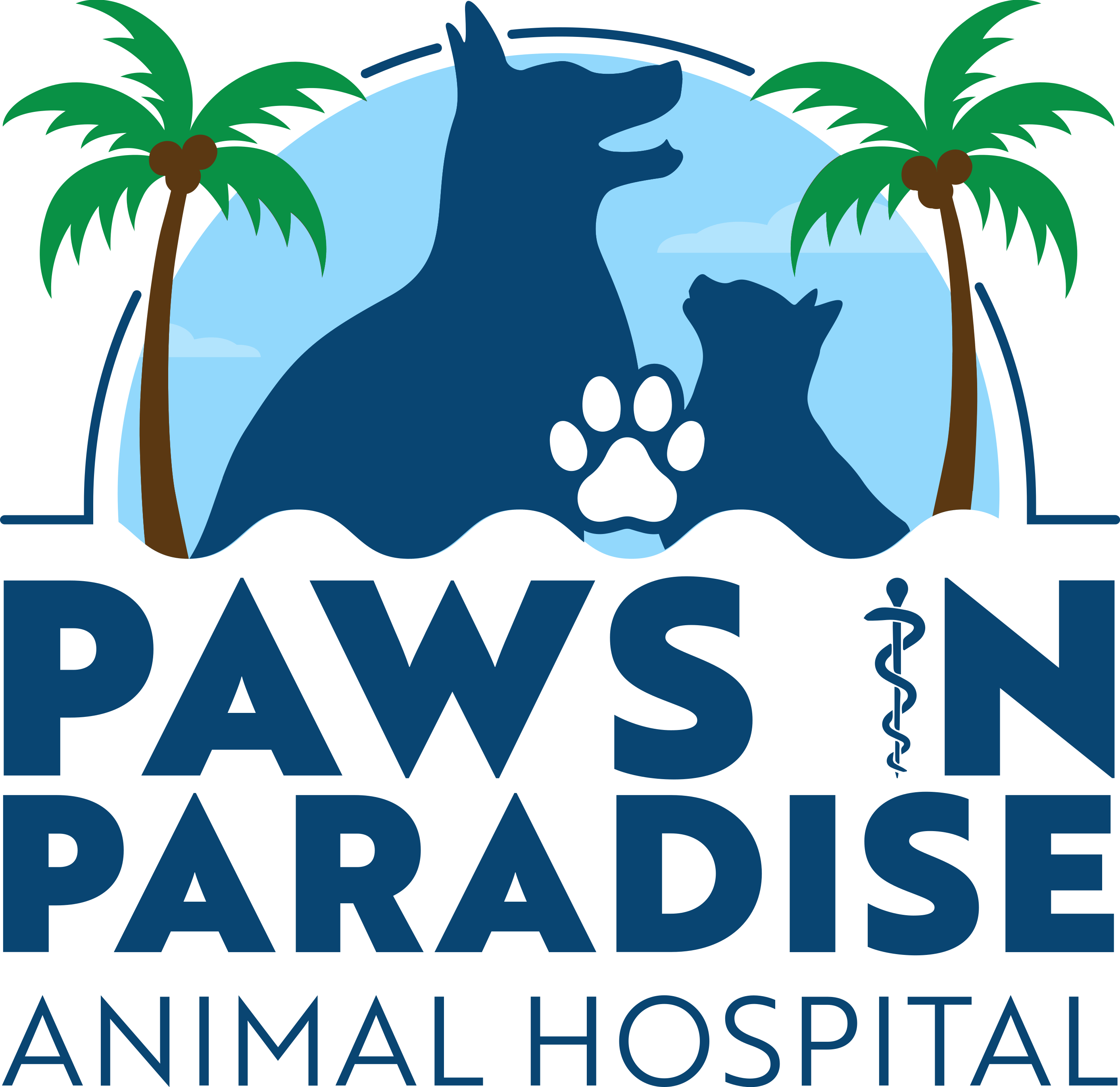 Paws in Paradise Animal Hospital